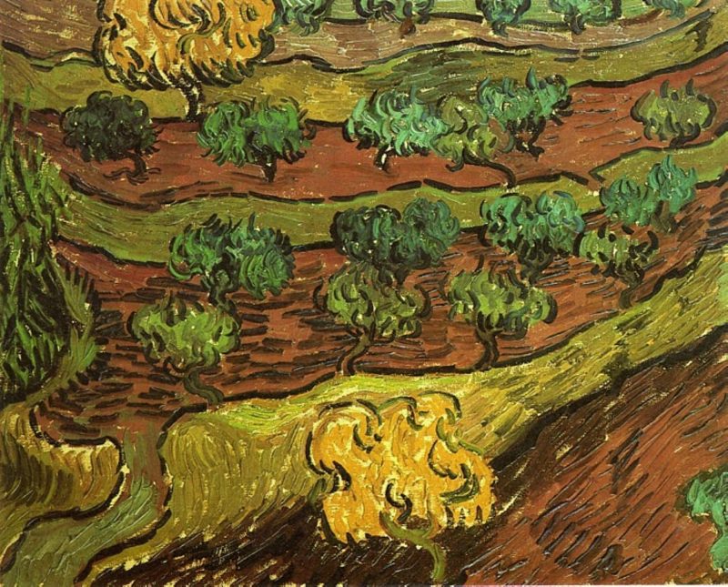 Olive Trees against a Slope of a Hill 1889, Van Gogh
